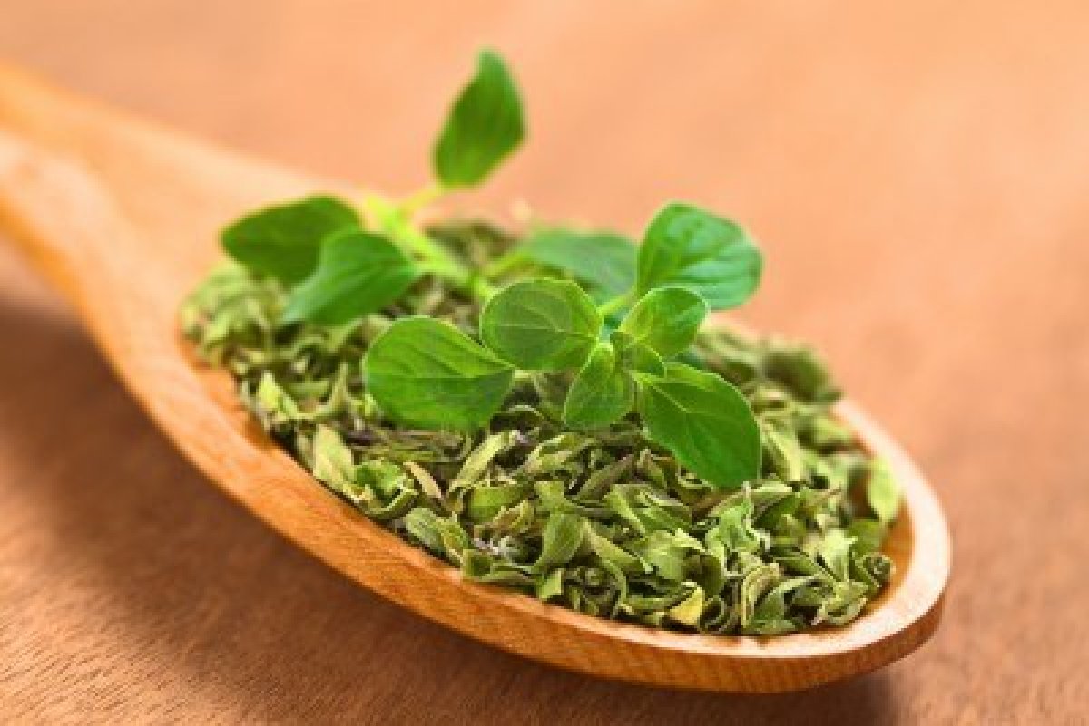 El orégano tiene distintas propiedades saludables Medicina Preventiva Santa Fe