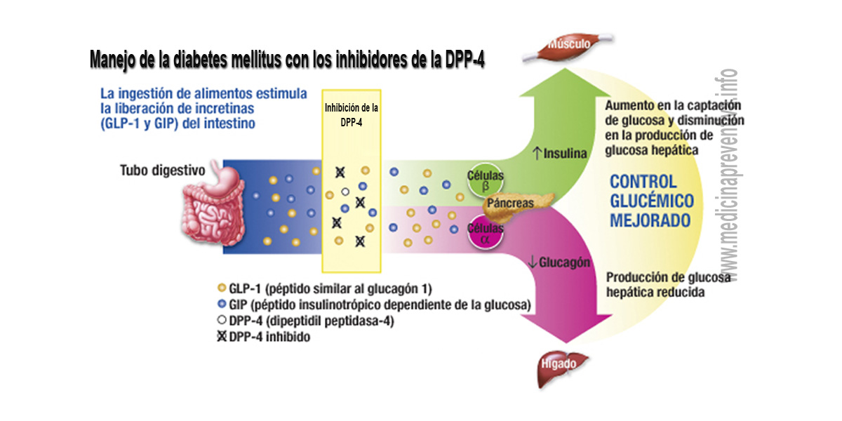 Disponible un nuevo medicamento oral para el manejo de la diabetes Trayenta © Por Disponible un nuevo medicamento oral para el manejo de la diabetes Trayenta © Por